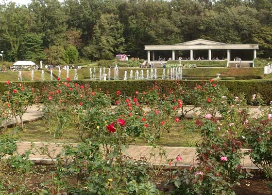 神代植物公園のバラ園