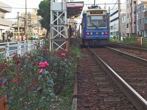 荒川線の電車