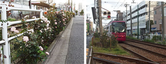 荒川線の電車が美しい