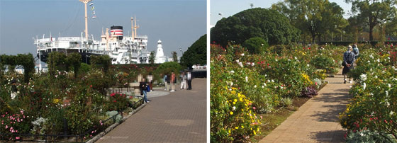 山下公園の秋の風景