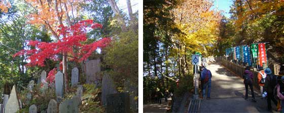 登山路も紅葉が目立つ