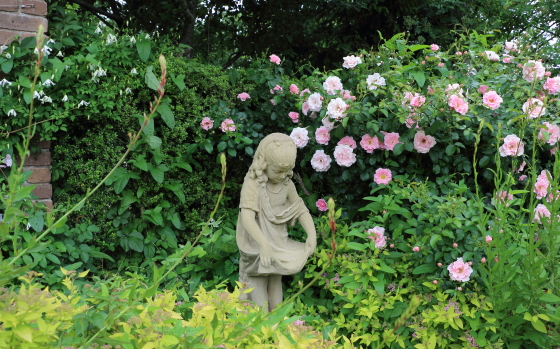 花菜ガーデンの風景