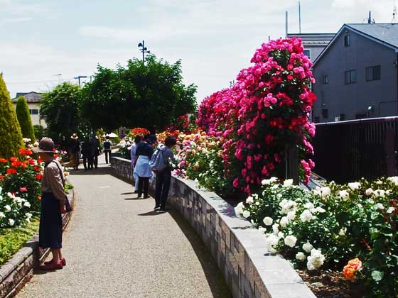 生田緑地への遊歩道