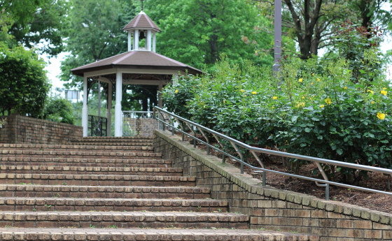 相模原北公園の風景