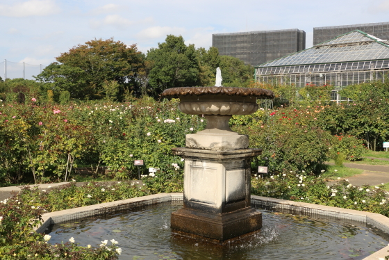 京成バラ園の風景