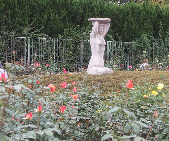 秋の神代植物公園