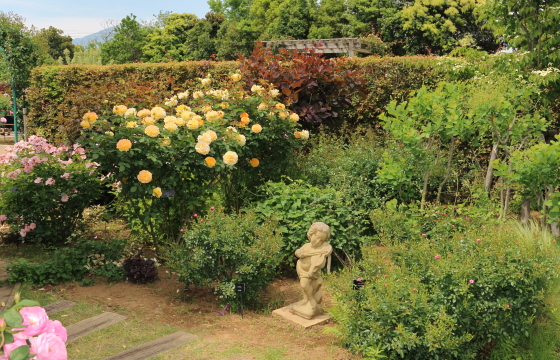 春の花菜ガーデン