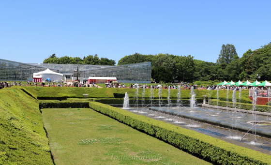 神代植物公園