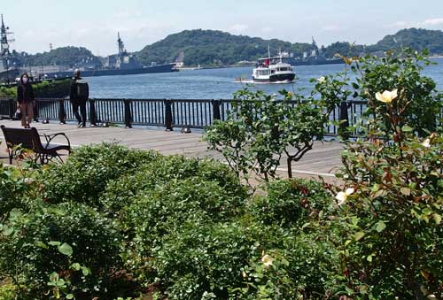 軍艦の見える公園にて