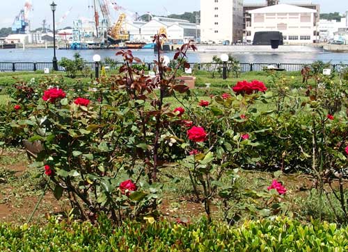 ヴェルニー公園にて