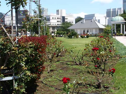 海沿いの公園