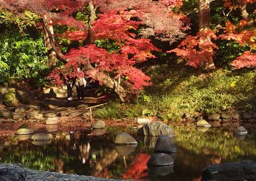 小石川後楽園の紅葉