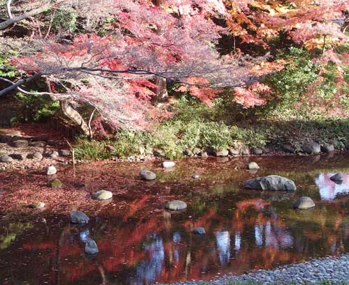 紅葉の風景