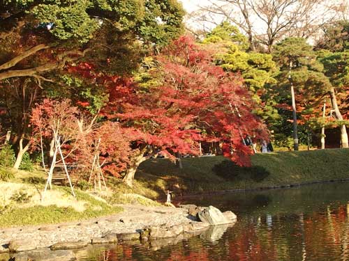 小石川後楽園の秋