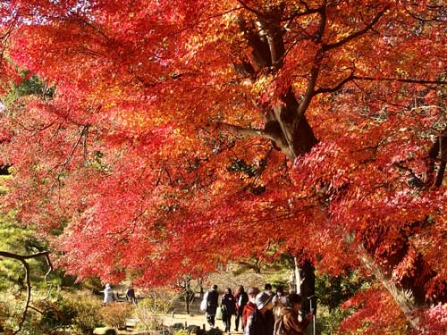 秋の風景