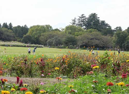 緑の広場も人影が少なかった