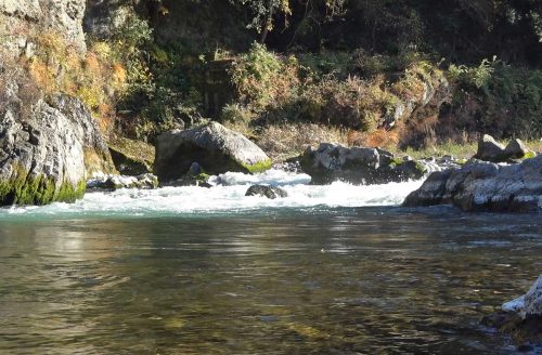 多摩川の清流