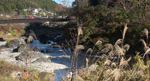 多摩川の渓流