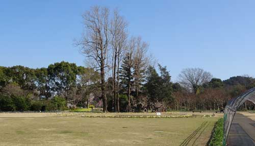 広場の風景