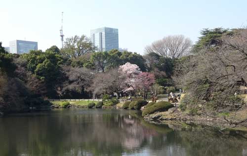 春の新宿御苑