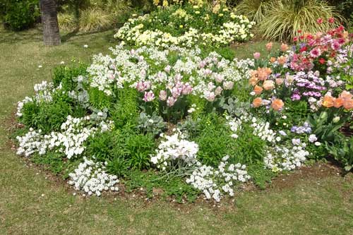 春の草花