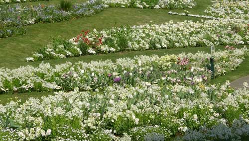 なだらかな丘に花壇