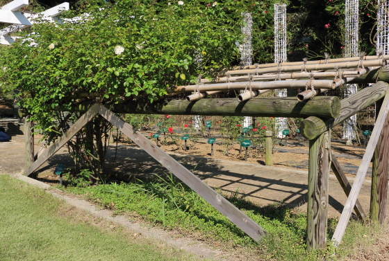 生田緑地ばら苑