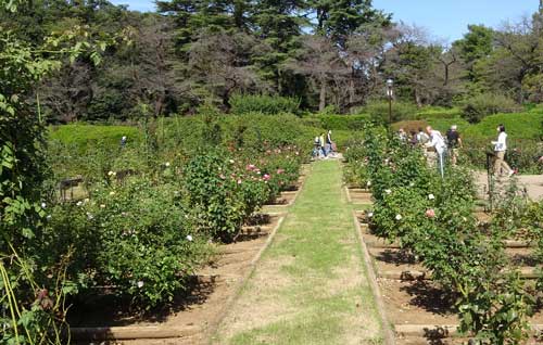 神代植物公園