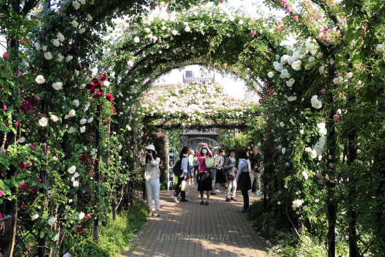 横濱イングリッシュガーデンの風景